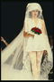Wedding dress. Long veil
