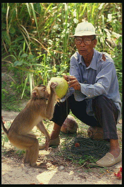 Um homem com um macaco
