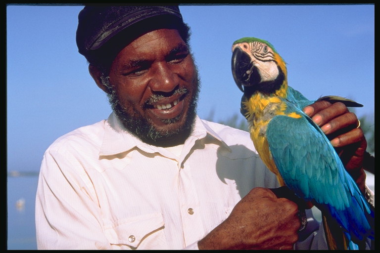 Muž s papagáj. Modrá krídla a žlté brucho vták