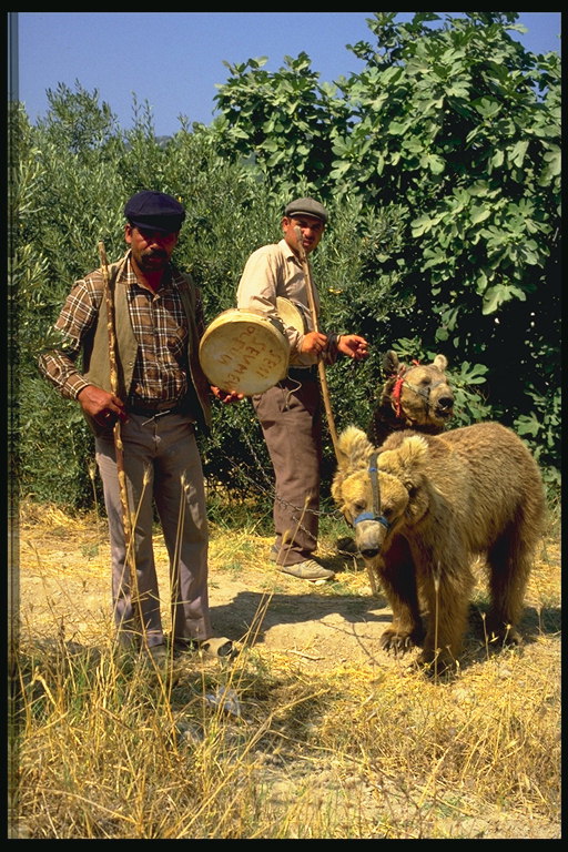 Men with bears