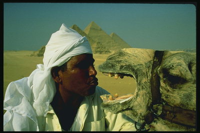 A man and a camel