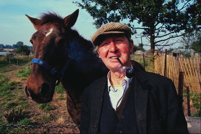 Anziani uomo con un tubo e un cavallo