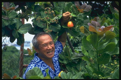 Мужчина среди фруктовых деревьев