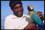 Mannen med papegøye. De blå vinger og gul buk fugl