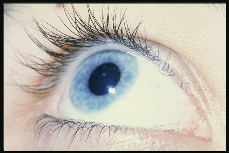 Голубой глаз девушки