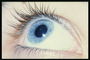 Modré oči girl