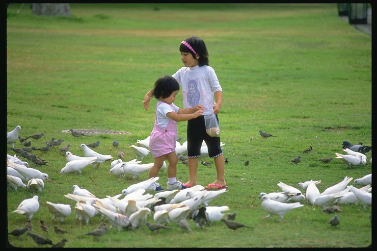 Gadis yang berjalan di antara pigeons