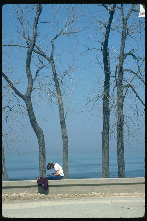 Парень читает книжку на скамейке в весеннем парке 