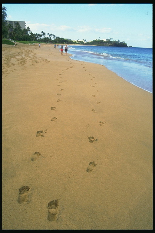 Stopy v piesku