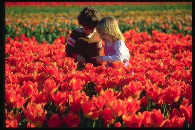 Fëmijët në të kuqe tulips