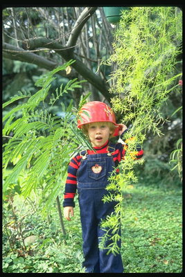 O rapaz, no capacete de árvores