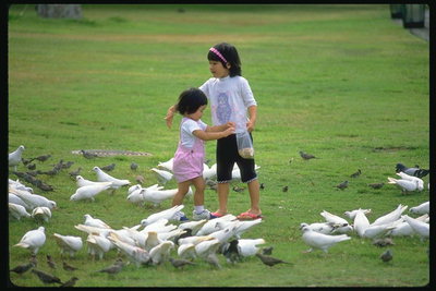 Девојке су шетњу међу голубова