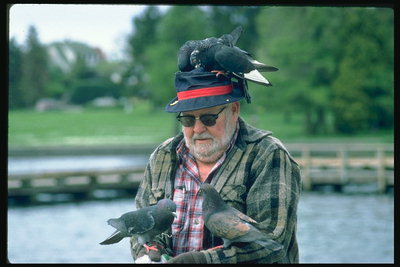 Starý muž s holubmi