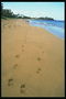 Stopy v piesku