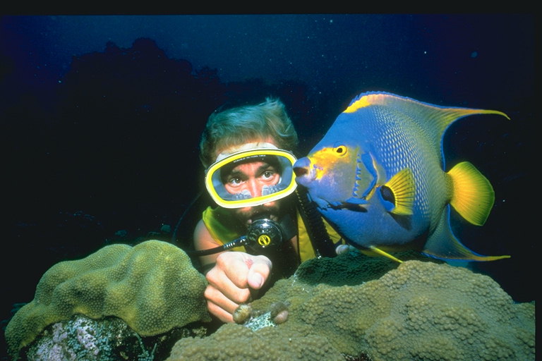 Diver y pescado en azul