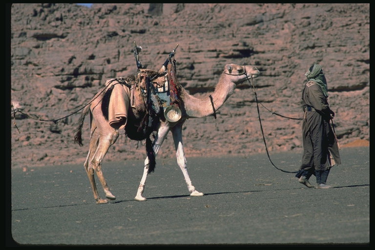 Nomad koos kaamel
