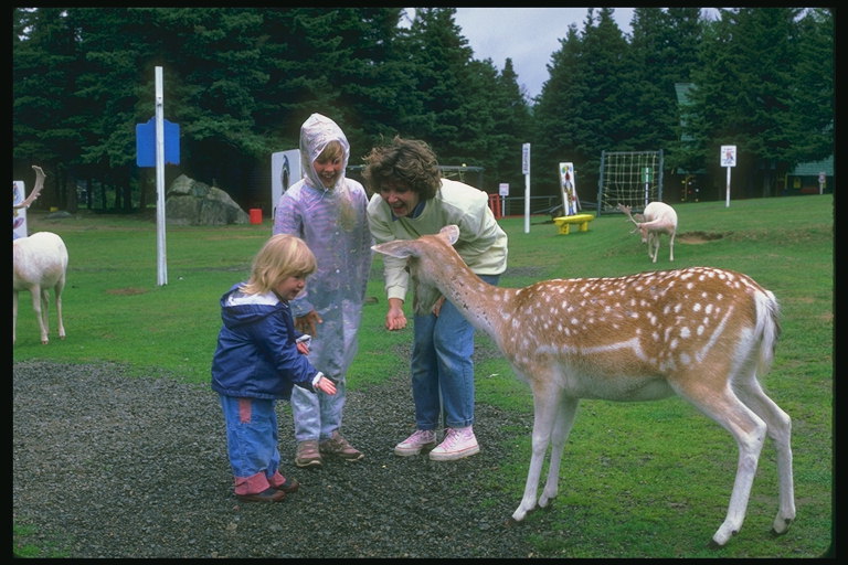 Nenos na reserva ao lado de animais