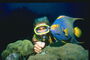 潜水员和鱼类以蓝色