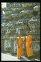 Monniken in het gewaad van fel oranje kleur