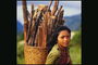 Девушка с корзиной дров