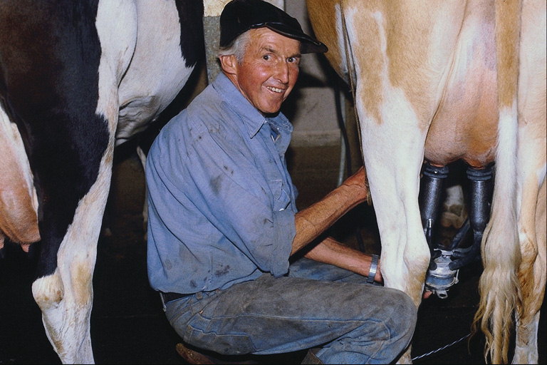 Farmer. At the time of milking cows