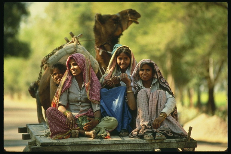 Ung pige på en vogn med en kamel