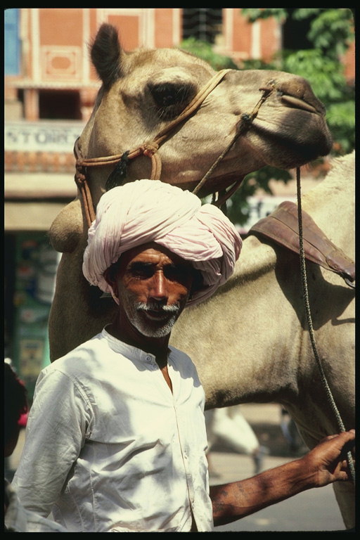 Sirmgalvis cilvēks ar kamielis