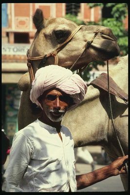 Uomo dai capelli grigi, con un cammello