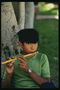 Boy sa isang kahoy na instrumento sa musika sa ilalim ng puno