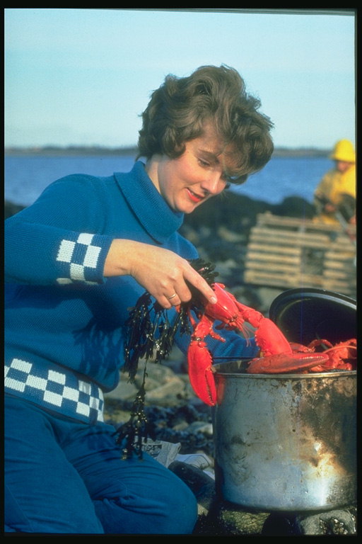 Приготовление омаров. Женщина у плиты