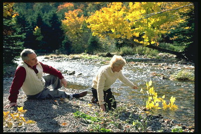 Люди возле горной реки. Ветка желтых кленовых листьев в воде