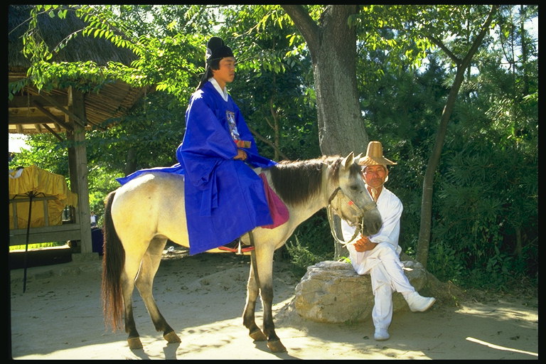 Мужчина в темно-синем кимоно на серо-белой лошади