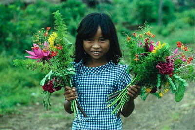 Девочка в клетчастой кофте с букетами полевых цветов в руках