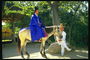 Мужчина в темно-синем кимоно на серо-белой лошади