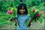 Девочка в клетчастой кофте с букетами полевых цветов в руках