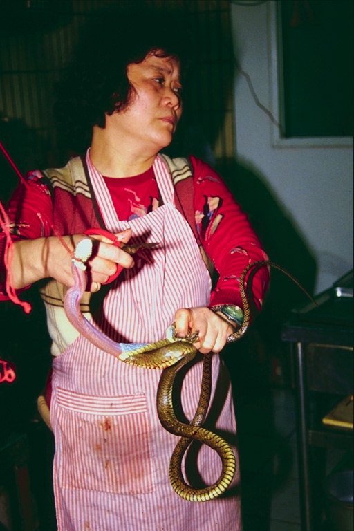 Женщина снимает кожу с змеи