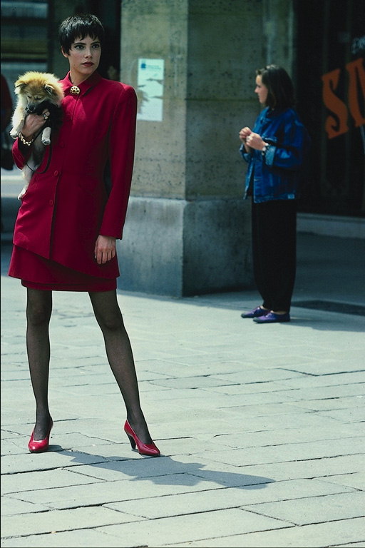 Девушка в темно-красном костюме с юбкой. Маленький пес на руках