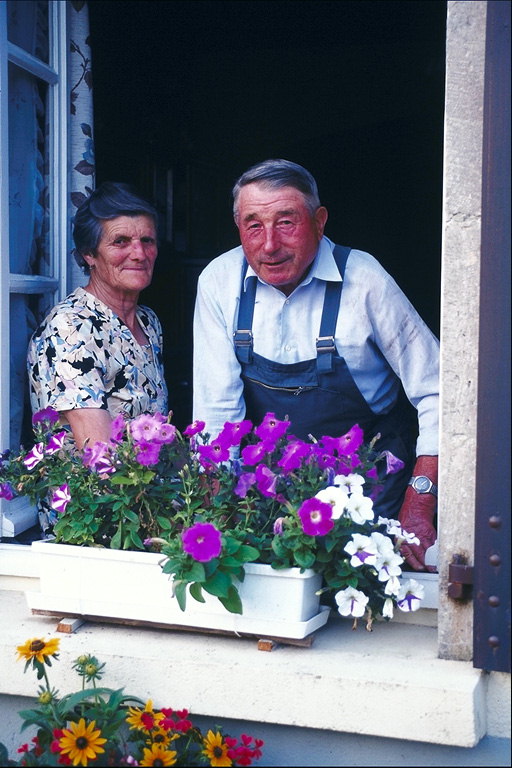Пенсионеры в окне. Вазон с цветами