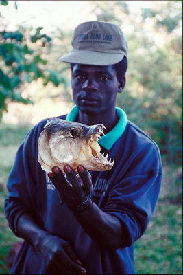 Мужчина с головой рыбы в руках. Острые зубы рыбы