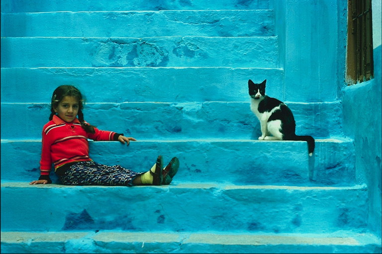Маленькая девочка с косичками и кот