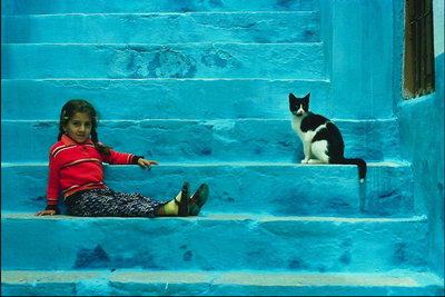 Маленькая девочка с косичками и кот