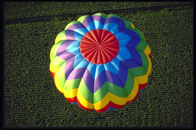 Балон цвете, на фона на зелената топка