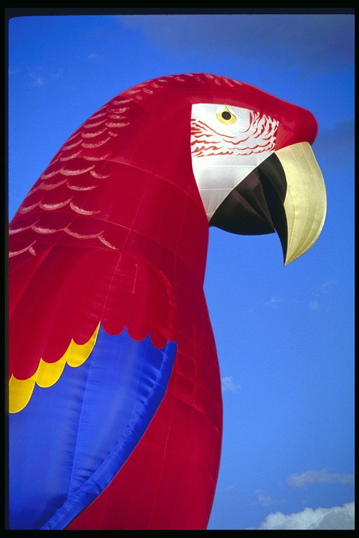 Воздушный шар - попугай