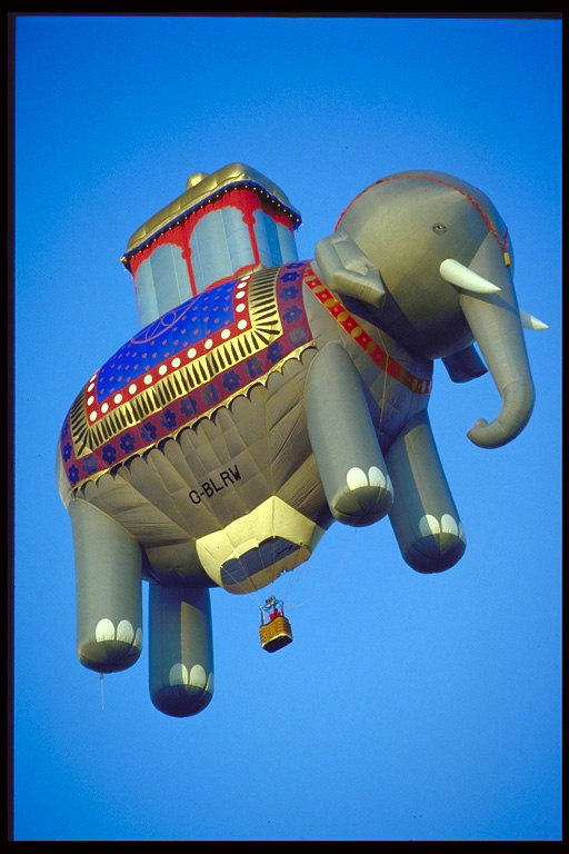 气球-大象
