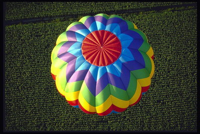 Balon bunga di latar belakang hijau bola