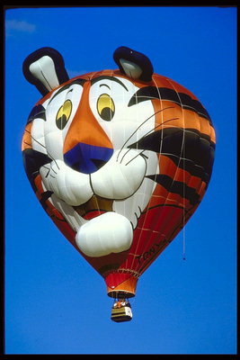 Balloon rrethojnë kreu figura e një tigër