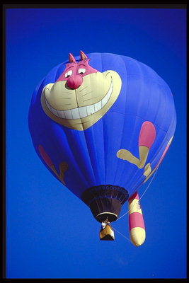 तस्वीर एक गर्म हवा के गुब्बारे पर एक बिल्ली