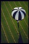 Black and white ball against a background of green stripes field