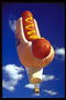 Balloon in the form of a hot dog