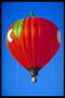 Balloon - una mela con un verme